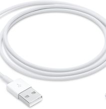 Apple Lightning to USB Cable (1metre)
